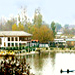 Saffron Valley of Mystic Splendour
