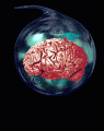 Program your subconscious Mind