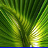 HeartSpeak (Poem)