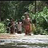 News from India (In video)