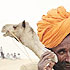 Strange Rise of Modern India 