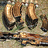 Arms recovered from militants in Jammu 